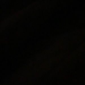 Meet your Posher, Gannon